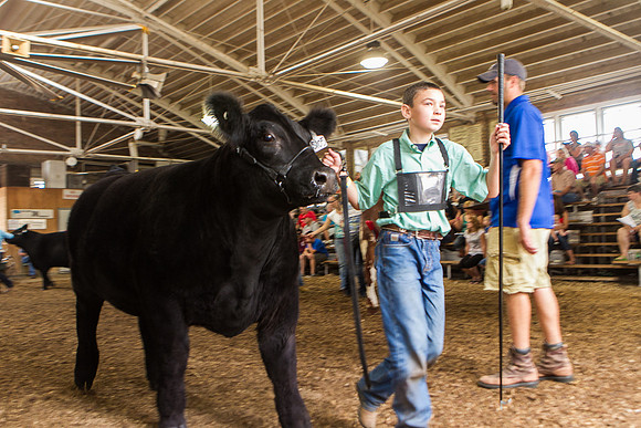 Photograph of Rock County 4-H Fair Taken 7-26-12