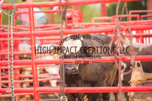 Ogle County Fair Rodeo | Big Hat Rodeo