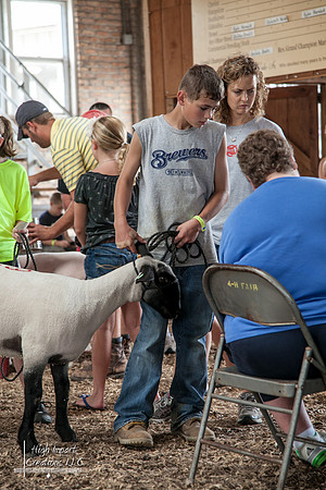 Janesville Photographers Rock County 4-H Fair Photographs