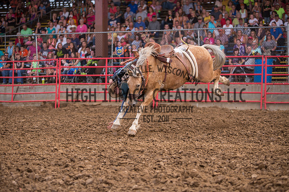 Ogle County Fair Rodeo | Big Hat Rodeo