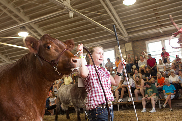 Photograph of Rock County 4-H Fair Taken 7-26-12