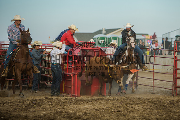 Big Hat Rodeo | Grayslake Rodeo | Lake County Fair