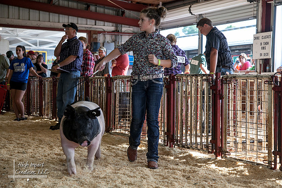 Janesville Photographers Rock County 4-H Fair Photographs