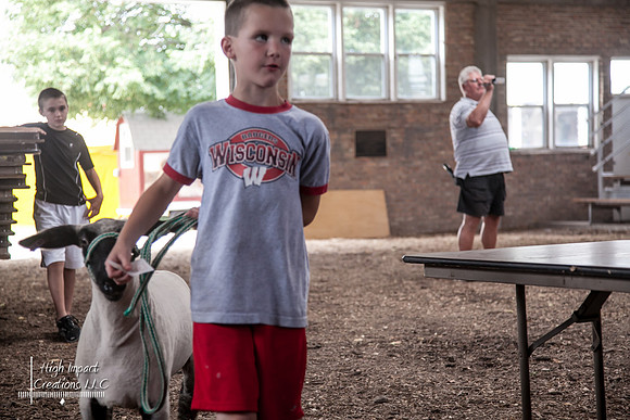 Janesville Photographers Rock County 4-H Fair Photographs