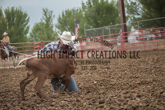 Ogle County Fair Rodeo | Big Hat Rodeo