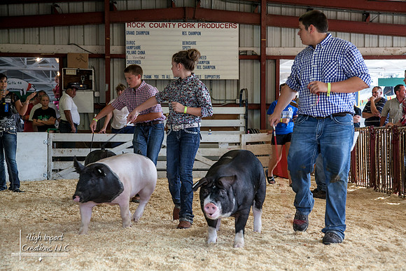 Janesville Photographers Rock County 4-H Fair Photographs