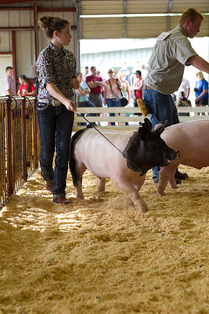 Janesville Photographers Rock County 4-H Fair Photographs