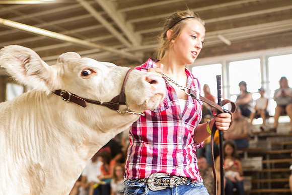 Photograph of Rock County 4-H Fair Taken 7-26-12