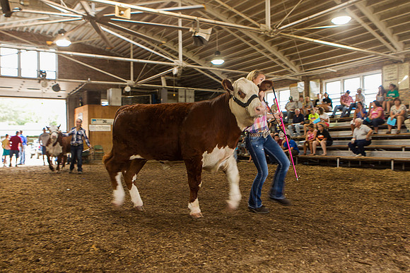 Photograph of Rock County 4-H Fair Taken 7-26-12