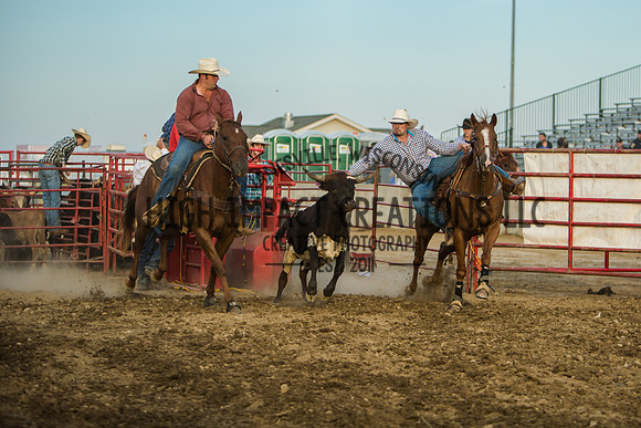 Big Hat Rodeo | Grayslake Rodeo | Lake County Fair