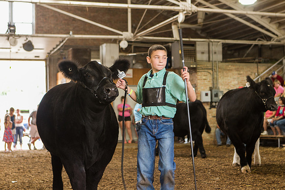 Photograph of Rock County 4-H Fair Taken 7-26-12