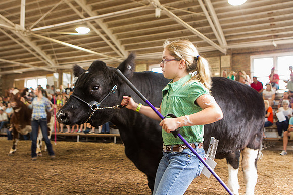 Photograph of Rock County 4-H Fair Taken 7-26-12