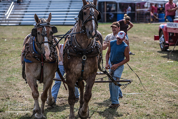 Photograph of Rock County 4-H Fair taken 7-29-12