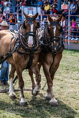 Photograph of Rock County 4-H Fair taken 7-29-12