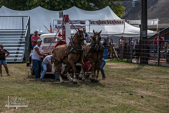 Photograph of Rock County 4-H Fair taken 7-29-12
