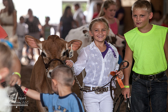 Photograph of Rock County 4-H Fair taken 7-29-12