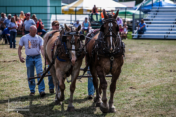 Photograph of Rock County 4-H Fair taken 7-29-12