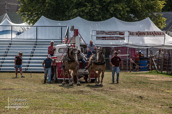 Photograph of Rock County 4-H Fair taken 7-29-12