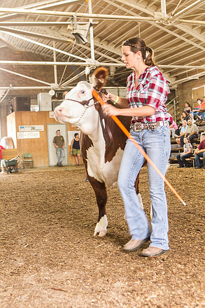 Photograph of Rock County 4-H Fair Taken 7-26-12