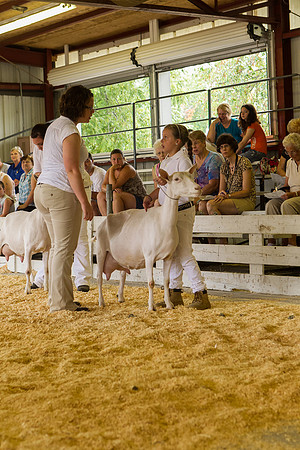Photograph of Rock County 4-H Fair Taken 7-26-12