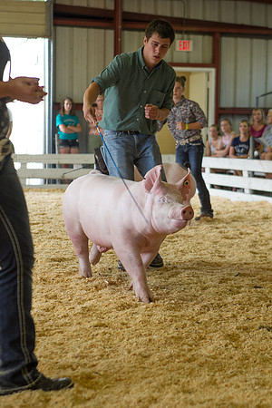 Janesville Photographers Rock County 4-H Fair Photographs