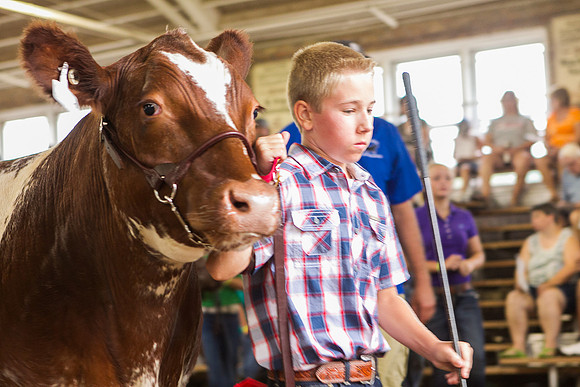 Photograph of Rock County 4-H Fair Taken 7-26-12