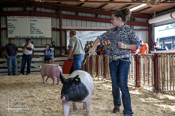 Janesville Photographers Rock County 4-H Fair Photographs