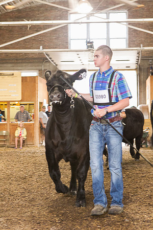 Photograph of Rock County 4-H Fair Taken 7-26-12