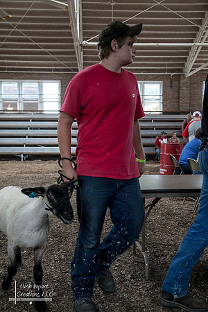 Janesville Photographers Rock County 4-H Fair Photographs