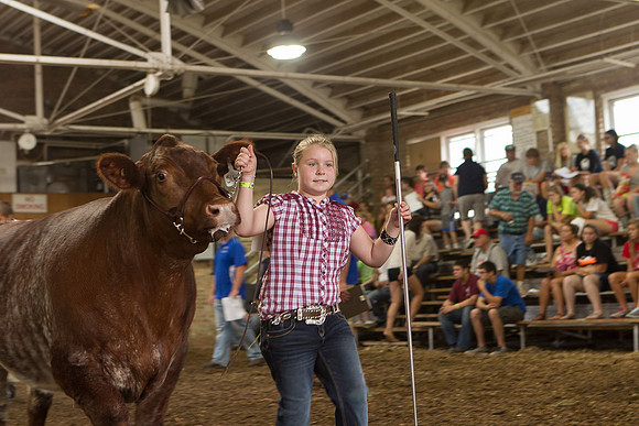 Photograph of Rock County 4-H Fair Taken 7-26-12