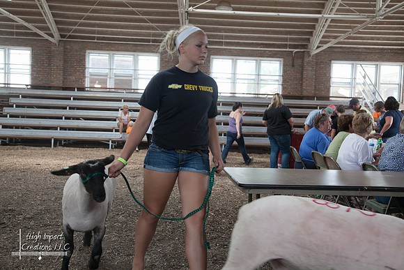 Janesville Photographers Rock County 4-H Fair Photographs