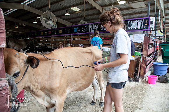 Janesville Photographers Rock County 4-H Fair Photographs