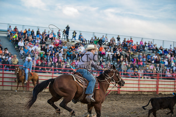 Big Hat Rodeo | Grayslake Rodeo | Lake County Fair