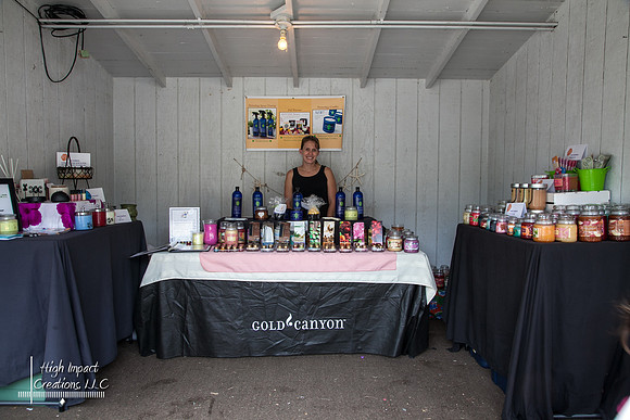 Janesville Photographers Rock County 4-H Fair Photographs