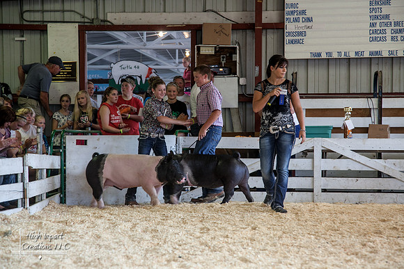 Janesville Photographers Rock County 4-H Fair Photographs
