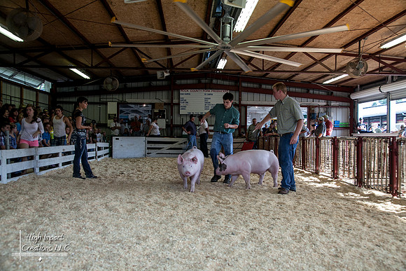 Janesville Photographers Rock County 4-H Fair Photographs