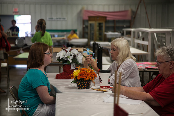 Janesville Photographers Rock County 4-H Fair Photographs