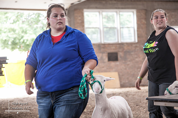 Janesville Photographers Rock County 4-H Fair Photographs