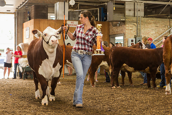 Photograph of Rock County 4-H Fair Taken 7-26-12