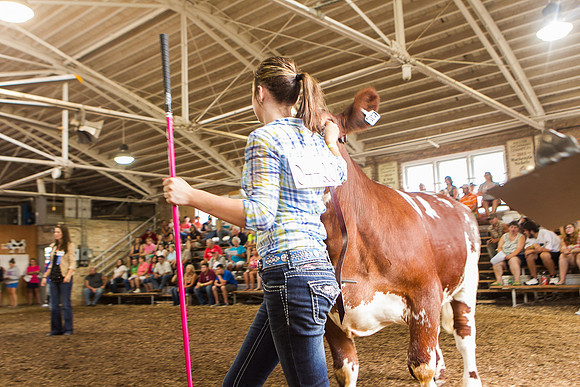 Photograph of Rock County 4-H Fair Taken 7-26-12