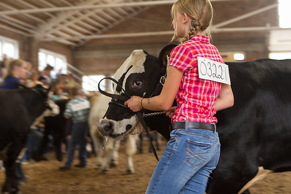 Photograph of Rock County 4-H Fair Taken 7-26-12