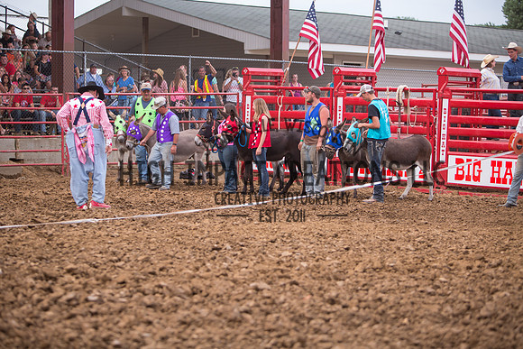 Ogle County Fair Rodeo | Big Hat Rodeo