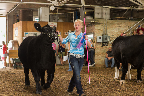 Photograph of Rock County 4-H Fair Taken 7-26-12