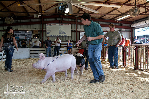 Janesville Photographers Rock County 4-H Fair Photographs