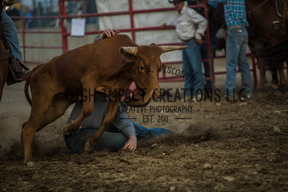 Big Hat Rodeo | Grayslake Rodeo | Lake County Fair