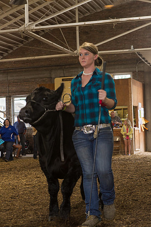 Photograph of Rock County 4-H Fair Taken 7-26-12