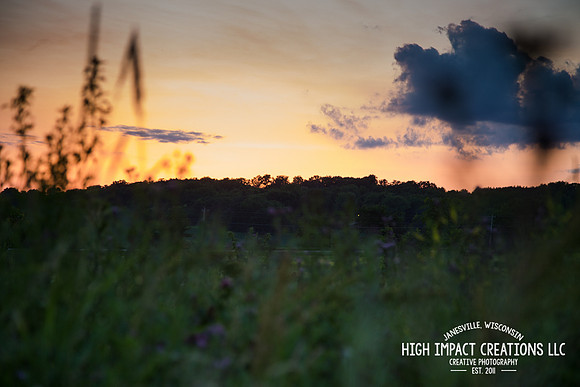 Picture a Day #145 | Janesville Photographer