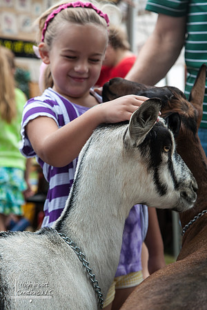 Janesville Photographers Rock County 4-H Fair Photographs