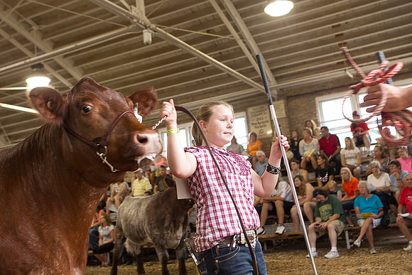 Photograph of Rock County 4-H Fair Taken 7-26-12