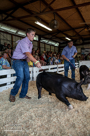 Janesville Photographers Rock County 4-H Fair Photographs